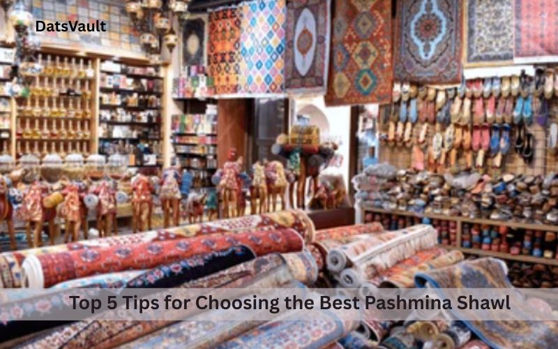 Top 5 Tips for Choosing the Best Pashmina Shawl