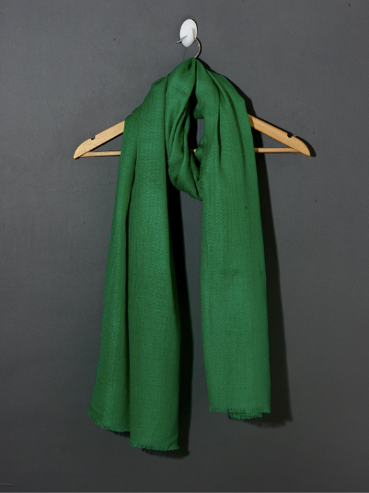 Luxury Green Solid Pashmina Shawl