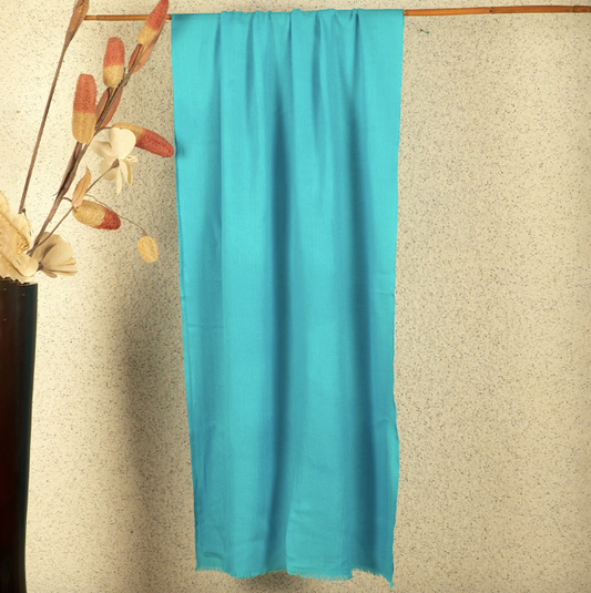 Luxury Powder Blue Solid Pashmina Shawl