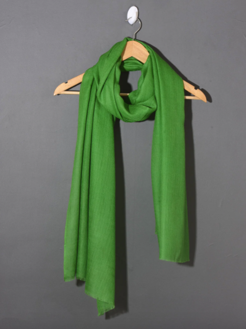 Womens Fern Green Solid Pashmina Shawl